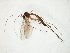  ( - TSZD-JKJ-105333)  @11 [ ] CreativeCommons - Attribution Non-Commercial Share-Alike (2019) Unspecified Tromsø University Museum