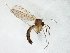  ( - TSZD-JKJ-105347)  @11 [ ] CreativeCommons - Attribution Non-Commercial Share-Alike (2019) Unspecified Tromsø University Museum
