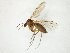  ( - TSZD-JKJ-105348)  @11 [ ] CreativeCommons - Attribution Non-Commercial Share-Alike (2019) Unspecified Tromsø University Museum