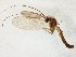  ( - TSZD-JKJ-105349)  @11 [ ] CreativeCommons - Attribution Non-Commercial Share-Alike (2019) Unspecified Tromsø University Museum