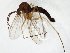  ( - TSZD-JKJ-105357)  @11 [ ] CreativeCommons - Attribution Non-Commercial Share-Alike (2019) Unspecified Tromsø University Museum