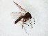  ( - TSZD-JKJ-105360)  @13 [ ] CreativeCommons - Attribution Non-Commercial Share-Alike (2019) Unspecified Tromsø University Museum