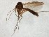  ( - TSZD-JKJ-105367)  @11 [ ] CreativeCommons - Attribution Non-Commercial Share-Alike (2019) Unspecified Tromsø University Museum