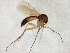  ( - TSZD-JKJ-105370)  @12 [ ] CreativeCommons - Attribution Non-Commercial Share-Alike (2019) Unspecified Tromsø University Museum