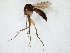  ( - TSZD-JKJ-105372)  @11 [ ] CreativeCommons - Attribution Non-Commercial Share-Alike (2019) Unspecified Tromsø University Museum