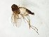  ( - TSZD-JKJ-105412)  @11 [ ] CreativeCommons - Attribution Non-Commercial Share-Alike (2019) Unspecified Tromsø University Museum