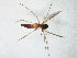 ( - TSZD-JKJ-105551)  @11 [ ] CreativeCommons - Attribution Non-Commercial Share-Alike (2019) Unspecified Tromsø University Museum