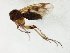  ( - TSZD-JKJ-105555)  @11 [ ] CreativeCommons - Attribution Non-Commercial Share-Alike (2019) Unspecified Tromsø University Museum