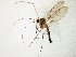  ( - TSZD-JKJ-105601)  @11 [ ] CreativeCommons - Attribution Non-Commercial Share-Alike (2019) Unspecified Tromsø University Museum