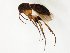  ( - TSZD-JKJ-105606)  @11 [ ] CreativeCommons - Attribution Non-Commercial Share-Alike (2019) Unspecified Tromsø University Museum