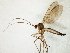  ( - TSZD-JKJ-105609)  @11 [ ] CreativeCommons - Attribution Non-Commercial Share-Alike (2019) Unspecified Tromsø University Museum