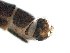  ( - TSZD-JKJ-105623)  @11 [ ] CreativeCommons - Attribution Non-Commercial Share-Alike (2019) Unspecified Tromsø University Museum