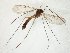  ( - TSZD-JKJ-106523)  @12 [ ] CreativeCommons - Attribution Non-Commercial Share-Alike (2019) Unspecified Tromsø University Museum