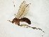  ( - TSZD-JKJ-106526)  @11 [ ] CreativeCommons - Attribution Non-Commercial Share-Alike (2019) Unspecified Tromsø University Museum