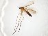 ( - TSZD-JKJ-106527)  @11 [ ] CreativeCommons - Attribution Non-Commercial Share-Alike (2019) Unspecified Tromsø University Museum