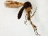  ( - TSZD-JKJ-106535)  @11 [ ] CreativeCommons - Attribution Non-Commercial Share-Alike (2019) Unspecified Tromsø University Museum