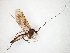  ( - TSZD-JKJ-106542)  @11 [ ] CreativeCommons - Attribution Non-Commercial Share-Alike (2019) Unspecified Tromsø University Museum