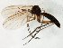  ( - TSZD-JKJ-106543)  @13 [ ] CreativeCommons - Attribution Non-Commercial Share-Alike (2019) Unspecified Tromsø University Museum