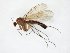  ( - TSZD-JKJ-106544)  @11 [ ] CreativeCommons - Attribution Non-Commercial Share-Alike (2019) Unspecified Tromsø University Museum