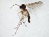  ( - TSZD-JKJ-106561)  @11 [ ] CreativeCommons - Attribution Non-Commercial Share-Alike (2019) Unspecified Tromsø University Museum