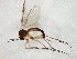  ( - TSZD-JKJ-106565)  @11 [ ] CreativeCommons - Attribution Non-Commercial Share-Alike (2019) Unspecified Tromsø University Museum