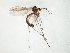  ( - TSZD-JKJ-106583)  @13 [ ] CreativeCommons - Attribution Non-Commercial Share-Alike (2019) Unspecified Tromsø University Museum