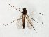  ( - TSZD-JKJ-106598)  @11 [ ] CreativeCommons - Attribution Non-Commercial Share-Alike (2019) Unspecified Tromsø University Museum