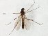  ( - TSZD-JKJ-106598)  @11 [ ] CreativeCommons - Attribution Non-Commercial Share-Alike (2019) Unspecified Tromsø University Museum