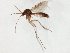  ( - TSZD-JKJ-106603)  @11 [ ] CreativeCommons - Attribution Non-Commercial Share-Alike (2019) Unspecified Tromsø University Museum