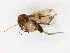  ( - TSZD-JKJ-106604)  @11 [ ] CreativeCommons - Attribution Non-Commercial Share-Alike (2019) Unspecified Tromsø University Museum