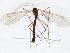  ( - TSZD-JKJ-106617)  @11 [ ] CreativeCommons - Attribution Non-Commercial Share-Alike (2019) Unspecified Tromsø University Museum