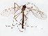  ( - TSZD-JKJ-106617)  @11 [ ] CreativeCommons - Attribution Non-Commercial Share-Alike (2019) Unspecified Tromsø University Museum
