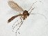  ( - TSZD-JKJ-106625)  @11 [ ] CreativeCommons - Attribution Non-Commercial Share-Alike (2019) Unspecified Tromsø University Museum