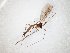  ( - TSZD-JKJ-106636)  @11 [ ] CreativeCommons - Attribution Non-Commercial Share-Alike (2019) Unspecified Tromsø University Museum