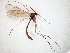  ( - TSZD-JKJ-106637)  @11 [ ] CreativeCommons - Attribution Non-Commercial Share-Alike (2019) Unspecified Tromsø University Museum