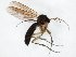  ( - TSZD-JKJ-106643)  @11 [ ] CreativeCommons - Attribution Non-Commercial Share-Alike (2019) Unspecified Tromsø University Museum