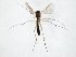  ( - TSZD-JKJ-106646)  @11 [ ] CreativeCommons - Attribution Non-Commercial Share-Alike (2019) Unspecified Tromsø University Museum