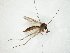  ( - TSZD-JKJ-106651)  @11 [ ] CreativeCommons - Attribution Non-Commercial Share-Alike (2019) Unspecified Tromsø University Museum