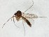  ( - TSZD-JKJ-106652)  @11 [ ] CreativeCommons - Attribution Non-Commercial Share-Alike (2019) Unspecified Tromsø University Museum
