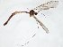  ( - TSZD-JKJ-106653)  @12 [ ] CreativeCommons - Attribution Non-Commercial Share-Alike (2019) Unspecified Tromsø University Museum