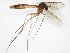  ( - TSZD-JKJ-106655)  @11 [ ] CreativeCommons - Attribution Non-Commercial Share-Alike (2019) Unspecified Tromsø University Museum