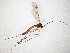  ( - TSZD-JKJ-106674)  @11 [ ] CreativeCommons - Attribution Non-Commercial Share-Alike (2019) Unspecified Tromsø University Museum