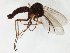  ( - TSZD-JKJ-106691)  @11 [ ] CreativeCommons - Attribution Non-Commercial Share-Alike (2019) Unspecified Tromsø University Museum
