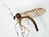 ( - TSZD-JKJ-106703)  @11 [ ] CreativeCommons - Attribution Non-Commercial Share-Alike (2019) Unspecified Tromsø University Museum