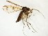  ( - TSZD-JKJ-107515)  @11 [ ] CreativeCommons - Attribution Non-Commercial Share-Alike (2019) Unspecified Tromsø University Museum