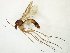  ( - TSZD-JKJ-107516)  @13 [ ] CreativeCommons - Attribution Non-Commercial Share-Alike (2019) Unspecified Tromsø University Museum