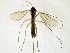  ( - TSZD-JKJ-107517)  @12 [ ] CreativeCommons - Attribution Non-Commercial Share-Alike (2019) Unspecified Tromsø University Museum