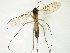  ( - TSZD-JKJ-107517)  @12 [ ] CreativeCommons - Attribution Non-Commercial Share-Alike (2019) Unspecified Tromsø University Museum