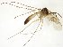  ( - TSZD-JKJ-107524)  @11 [ ] CreativeCommons - Attribution Non-Commercial Share-Alike (2019) Unspecified Tromsø University Museum