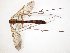  ( - TSZD-JKJ-107555)  @11 [ ] CreativeCommons - Attribution Non-Commercial Share-Alike (2019) Unspecified Tromsø University Museum